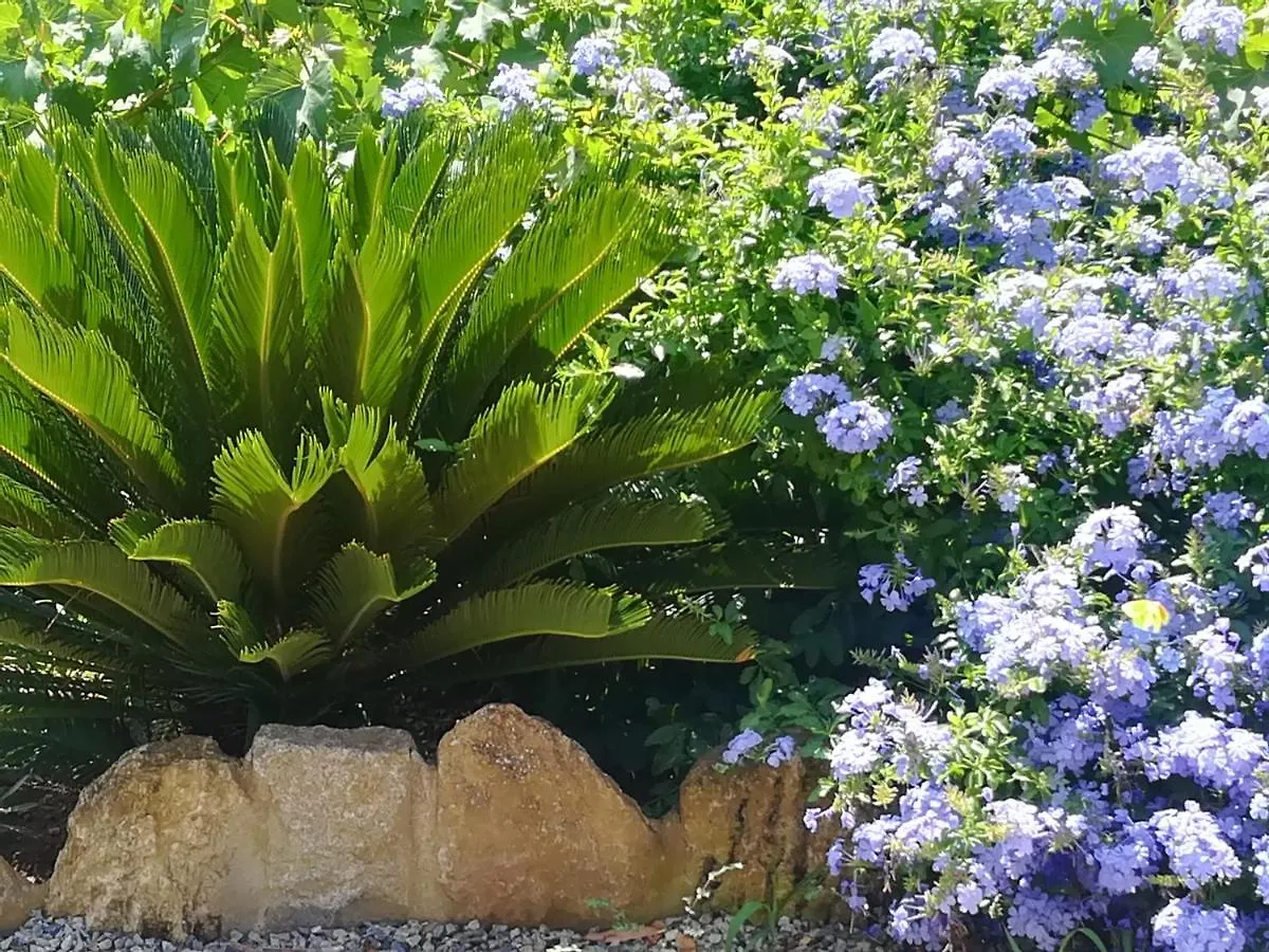 Villa Sandra Capoliveri  0*, Capoliveri (Isola d'Elba) Italy